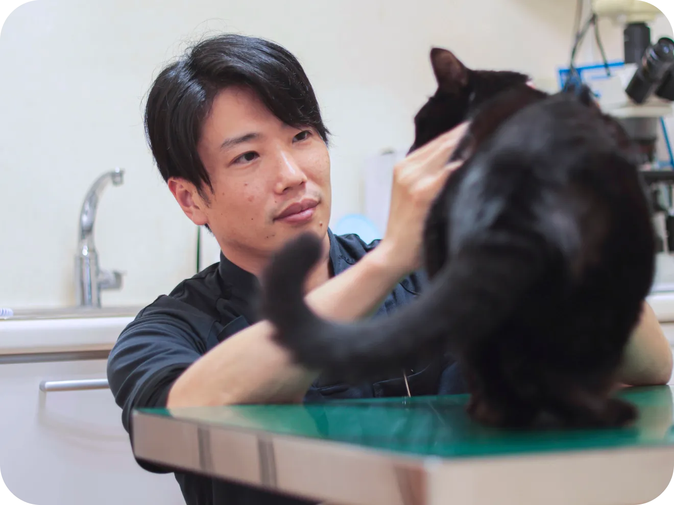 院長とネコの診療の様子